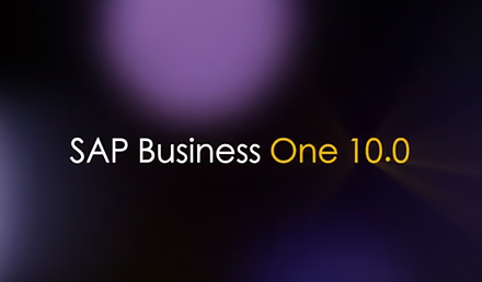 SAP Business One 10.0 一个全新的版本